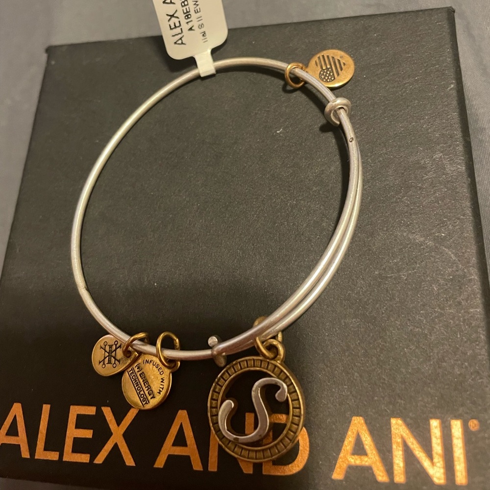 New Alex and ani letter S